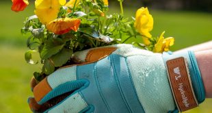 Best Garden Gloves