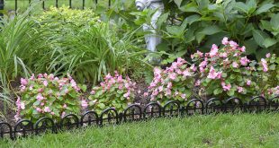 Metal Edging For Flower Beds