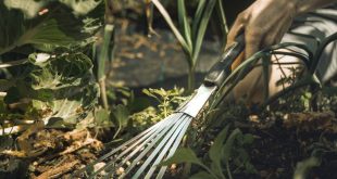 Metal Gardening Rake