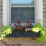 Flower Boxes For Windows