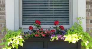 Flower Boxes For Windows