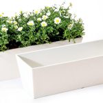 Box Planter Ideas