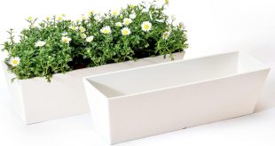 Box Planter Ideas