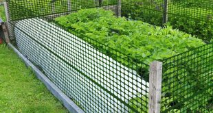 Short garden fences